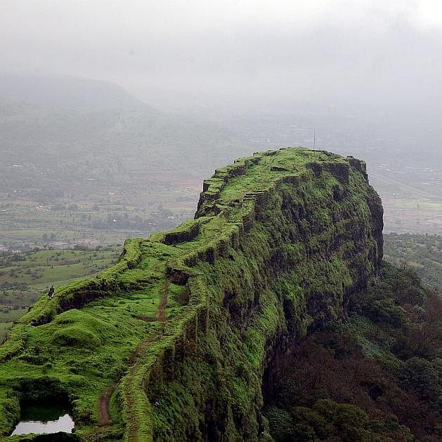 Highland,Mountainous landforms,Hill station,Mountain,Atmospheric phenomenon,Vegetation,Natural landscape,Tree,Ridge,Hill