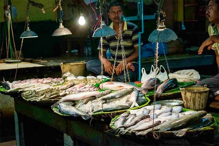 Fishmonger,Fish products,Fish,Seafood,Salted fish,Selling,Fish,Market