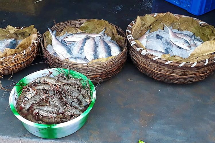 Food,Basket,Dish
