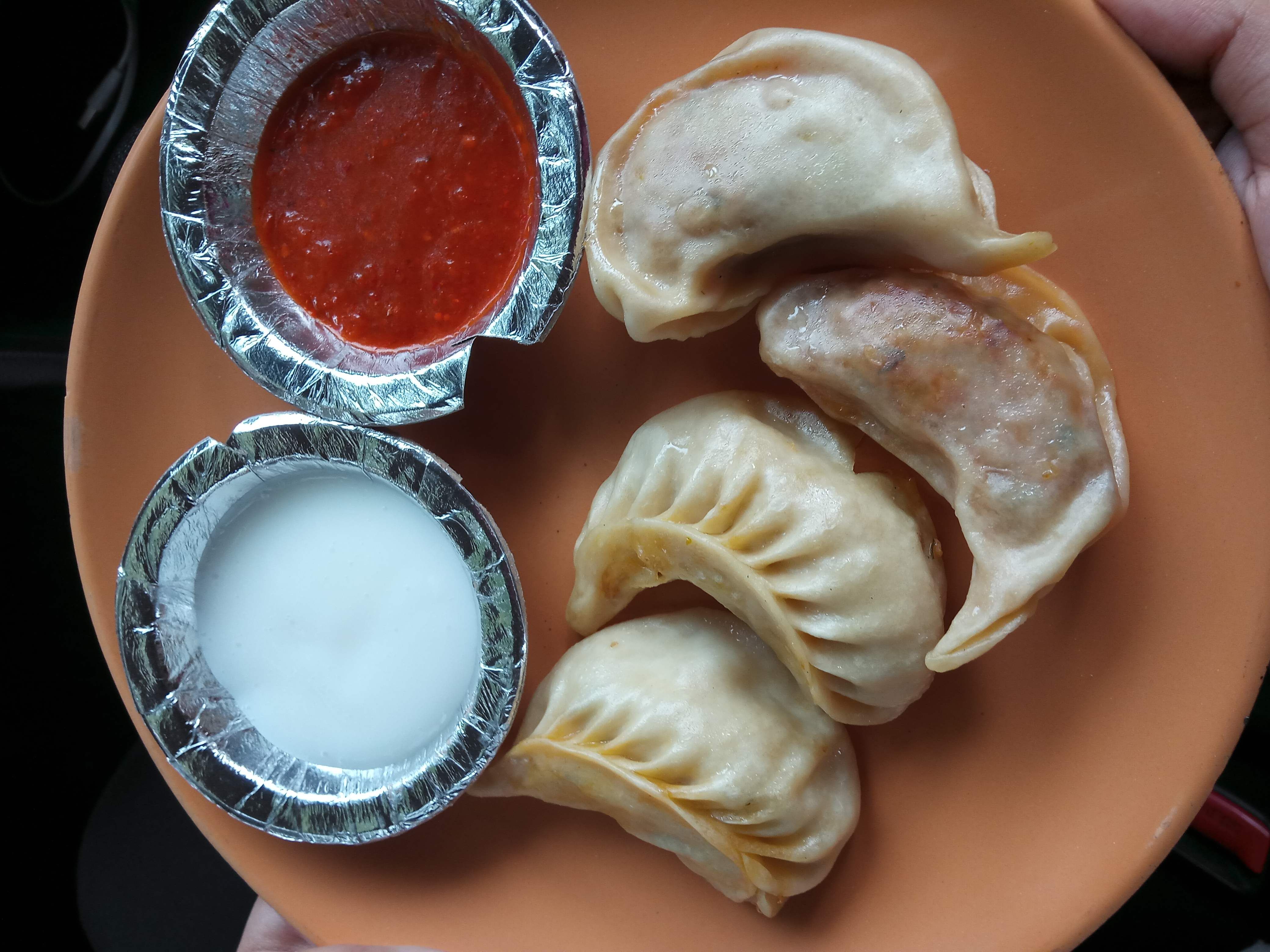 Dish,Food,Cuisine,Ingredient,Momo,Khuushuur,Kreplach,Empanada,Varenyky,Mongolian food