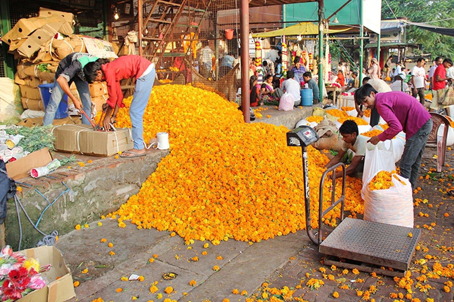 Selling,Marketplace,Public space,Yellow,Market,Bazaar,Plant,Temple,Flower