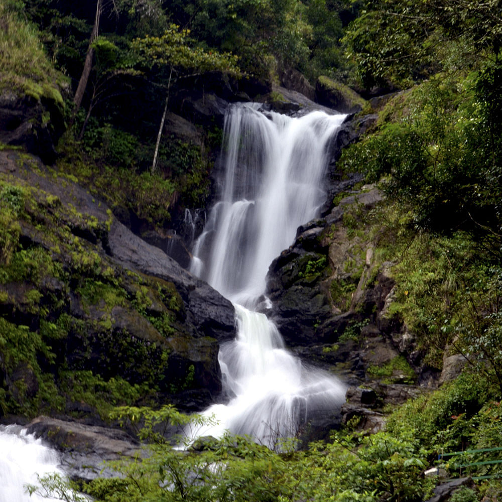 Waterfall,Water resources,Body of water,Natural landscape,Water,Nature,Watercourse,Stream,Nature reserve,Vegetation