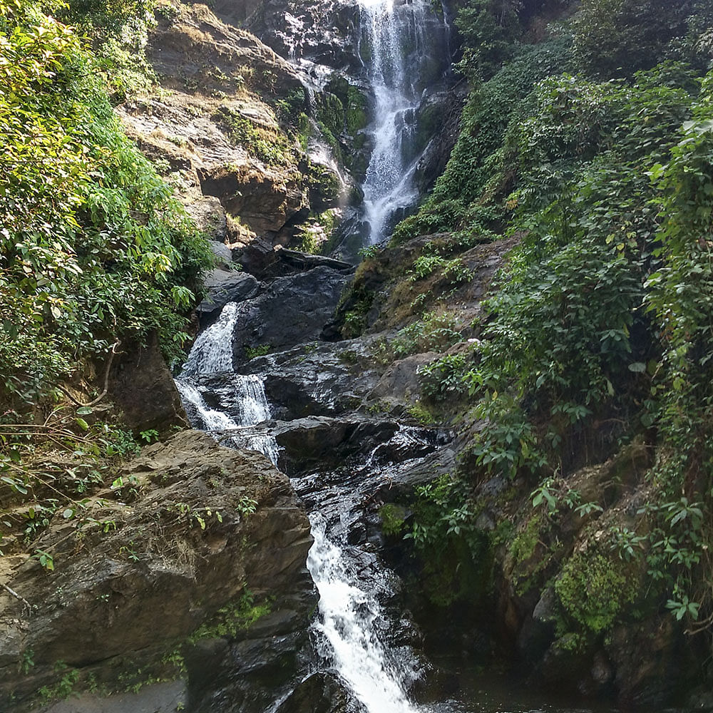 Waterfall,Water resources,Body of water,Natural landscape,Nature,Water,Nature reserve,Watercourse,Vegetation,Stream