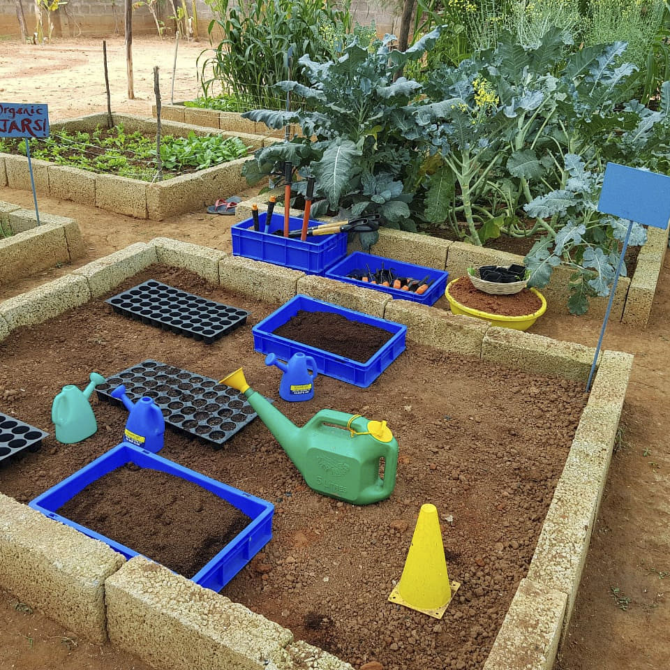 Garden,Soil,Backyard,Plant,Tree,Yard,Sandpit,Landscape,Herb,Houseplant