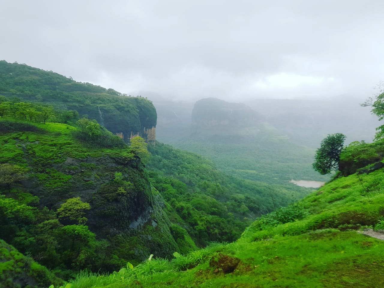Hill station,Nature,Vegetation,Highland,Natural landscape,Mountainous landforms,Green,Nature reserve,Atmospheric phenomenon,Mountain