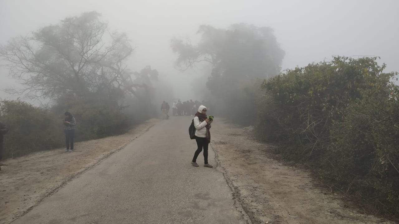 Mist,Atmospheric phenomenon,Fog,Haze,Drizzle,Thoroughfare,Road,Dust