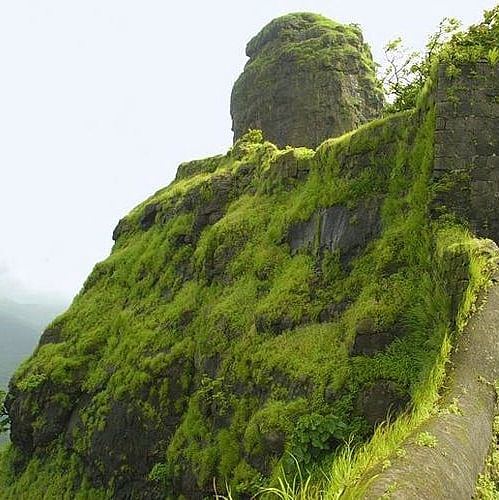 Nature,Vegetation,Green,Cliff,Natural landscape,Rock,Hill station,Highland,Mountain,Terrain