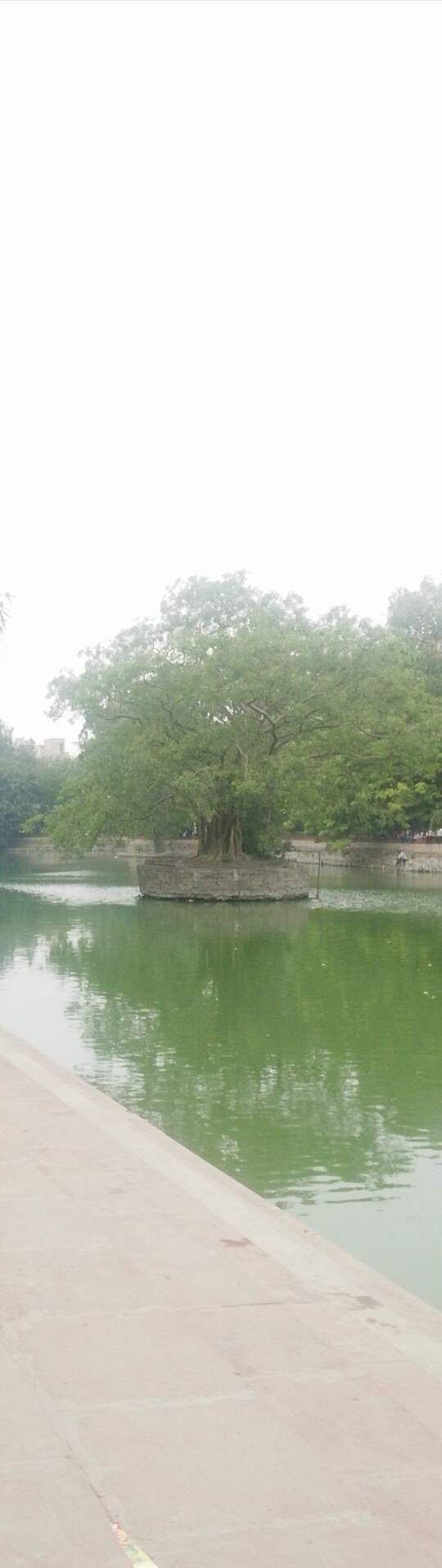 img-gallery-featured