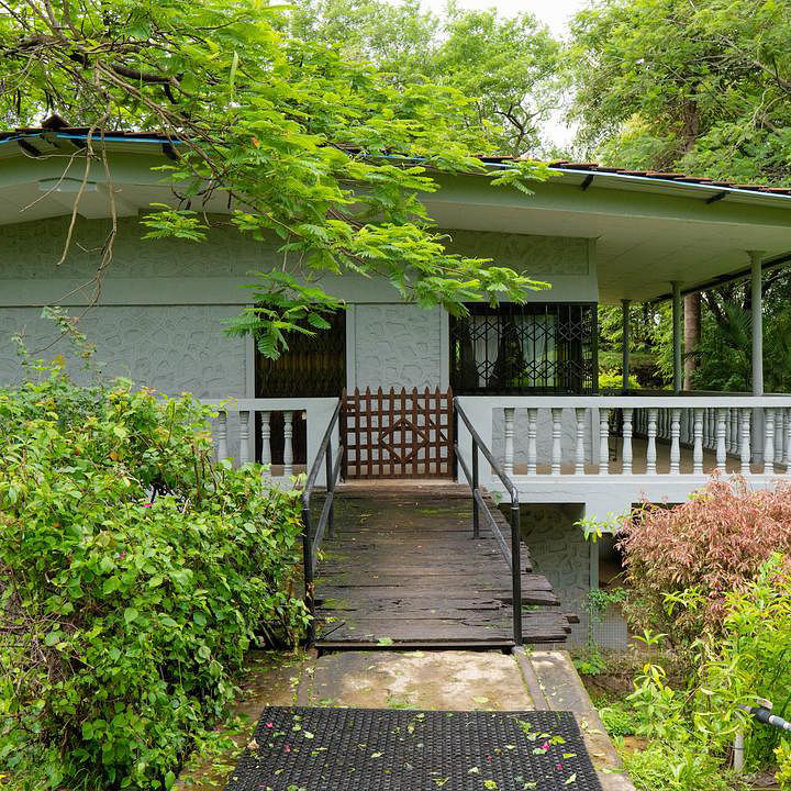 Green,House,Property,Tree,Botany,Home,Building,Architecture,Real estate,Cottage