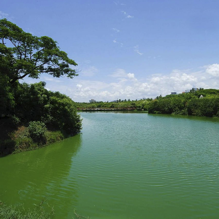 Body of water,Water resources,Nature,Green,Natural landscape,Water,River,Sky,Reservoir,Lake