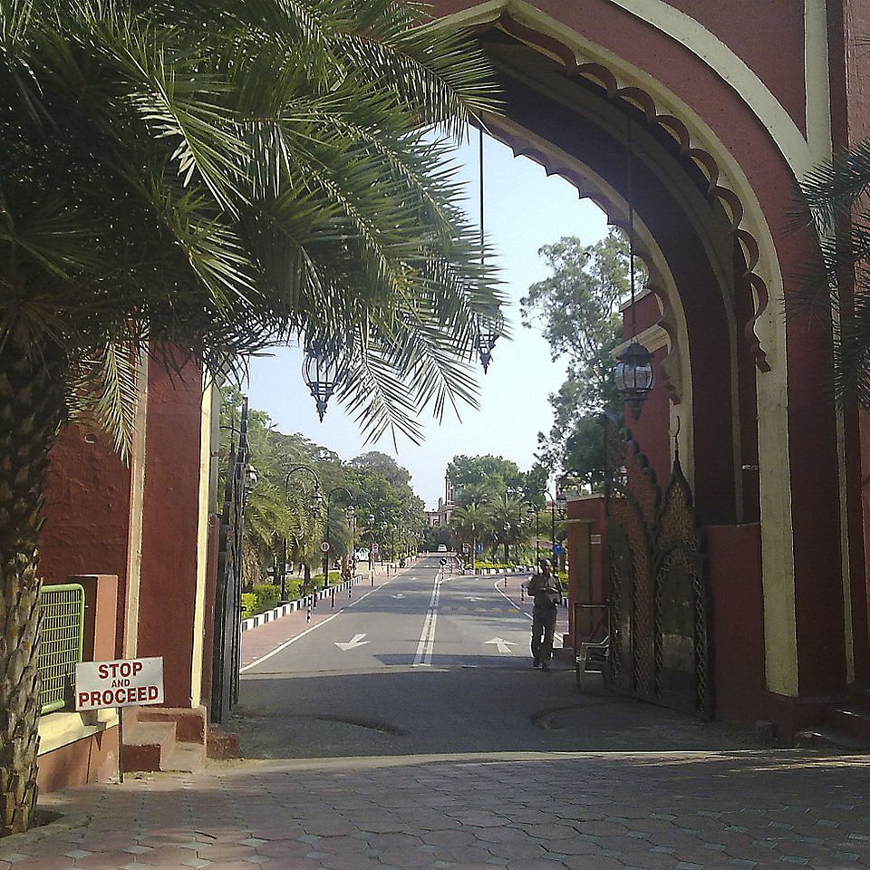 Arch,Tree,Town,Architecture,Street,Road,Infrastructure,Alley,Building,Neighbourhood