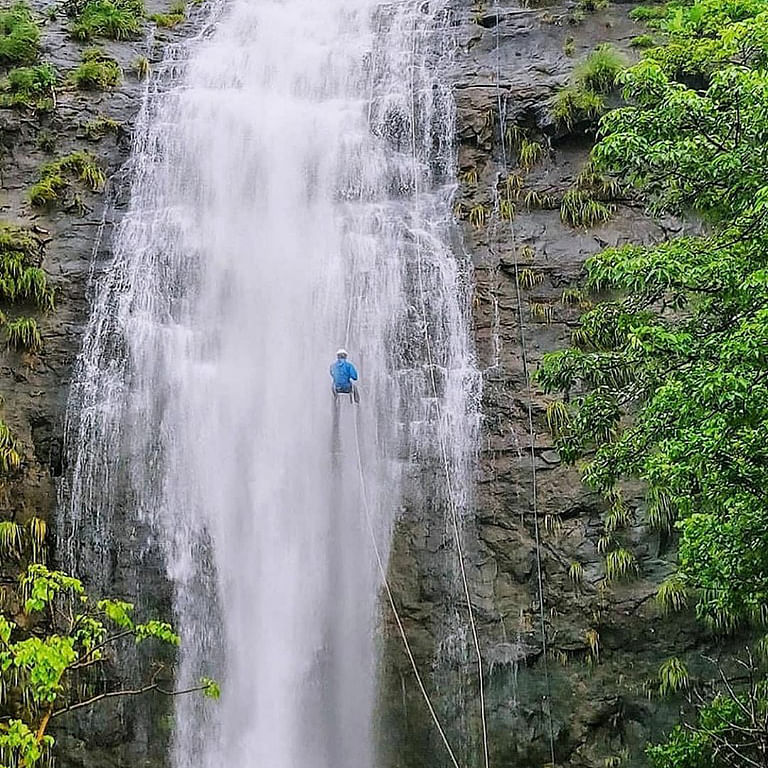 Waterfall,Water resources,Water,Nature reserve,Watercourse,Vegetation,Natural landscape,Chute,Rainforest,Biome