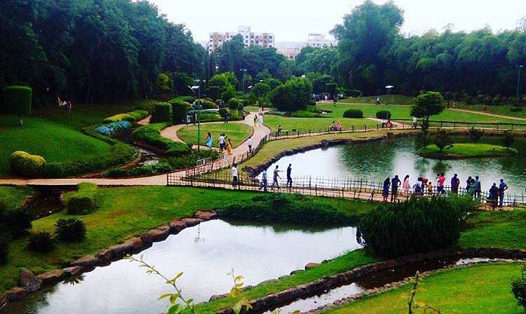 Nature,Natural landscape,Pond,Water,Botanical garden,Garden,Water resources,Botany,Leisure,Tree