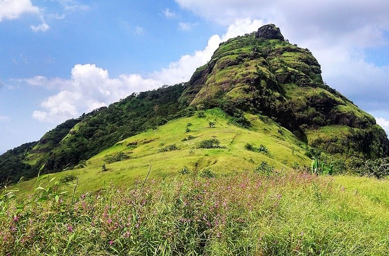 Mountainous landforms,Highland,Mountain,Vegetation,Nature,Natural landscape,Hill,Grassland,Green,Grass