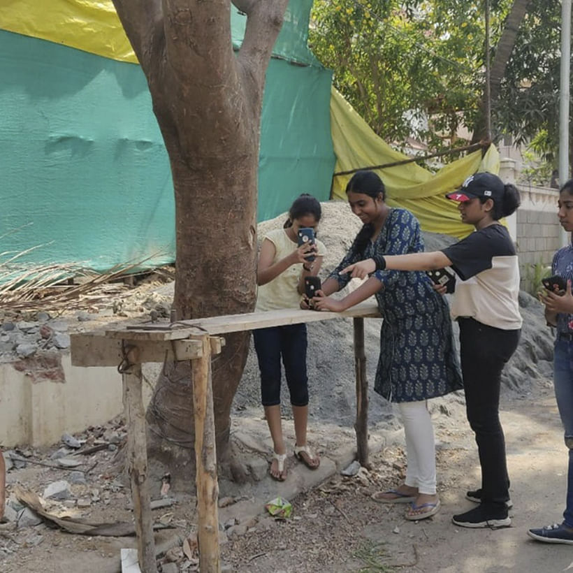 Tree,Community,Adaptation,Woody plant,Plant,Trunk,Leisure,Tourism