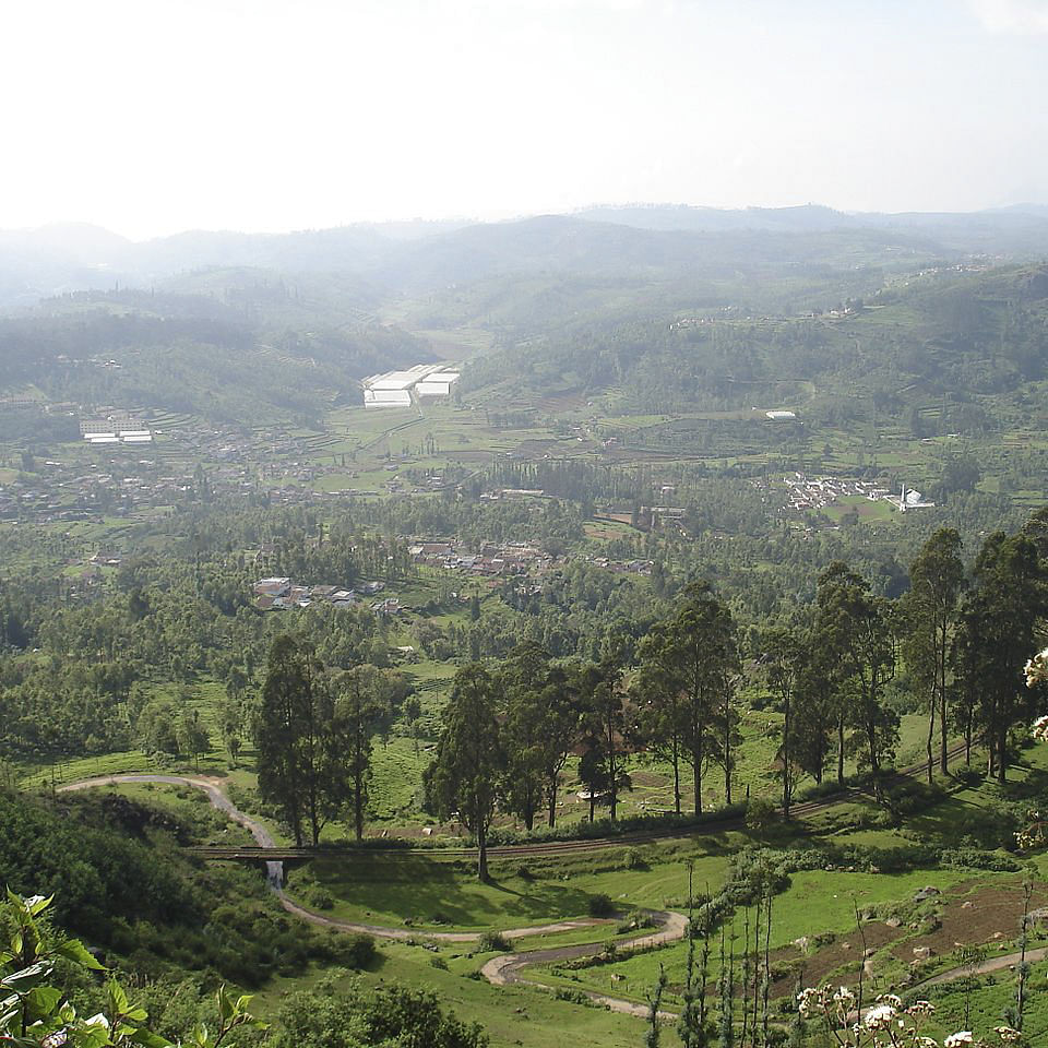 Hill station,Highland,Vegetation,Mountainous landforms,Natural landscape,Nature reserve,Hill,Mountain,Valley,Tree