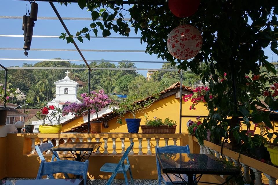 Yellow,Tree,Real estate,Building,Flower,Plant,House,Architecture,Leisure,Vacation