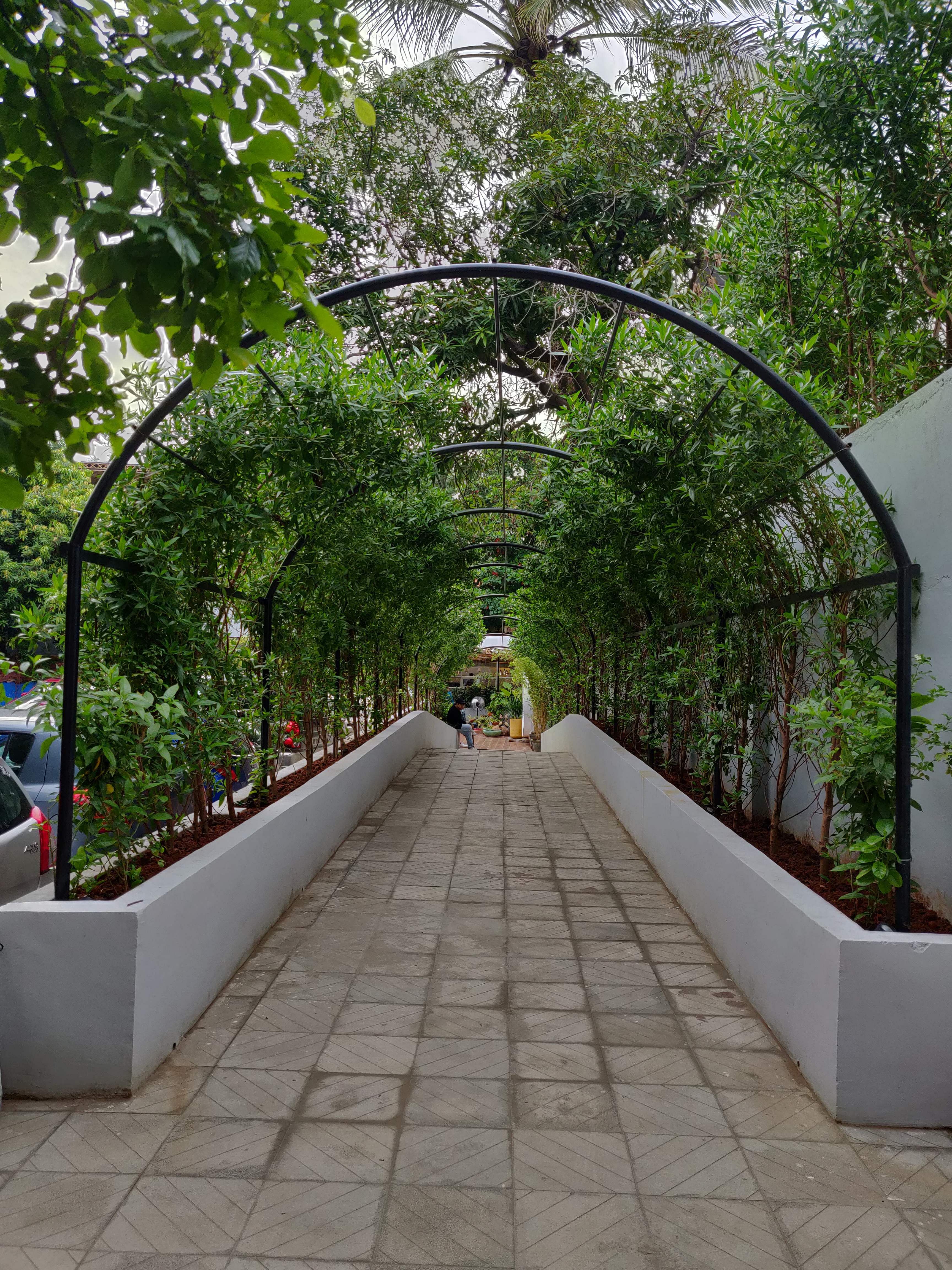 Walkway,Tree,Arch,Architecture,Botany,Plant,Garden,Botanical garden,Shrub,Building