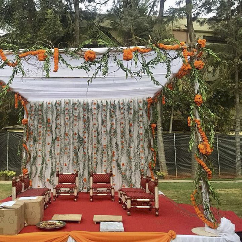 Decoration,Stage,Tree,Plant,Architecture,Ceremony,Floral design