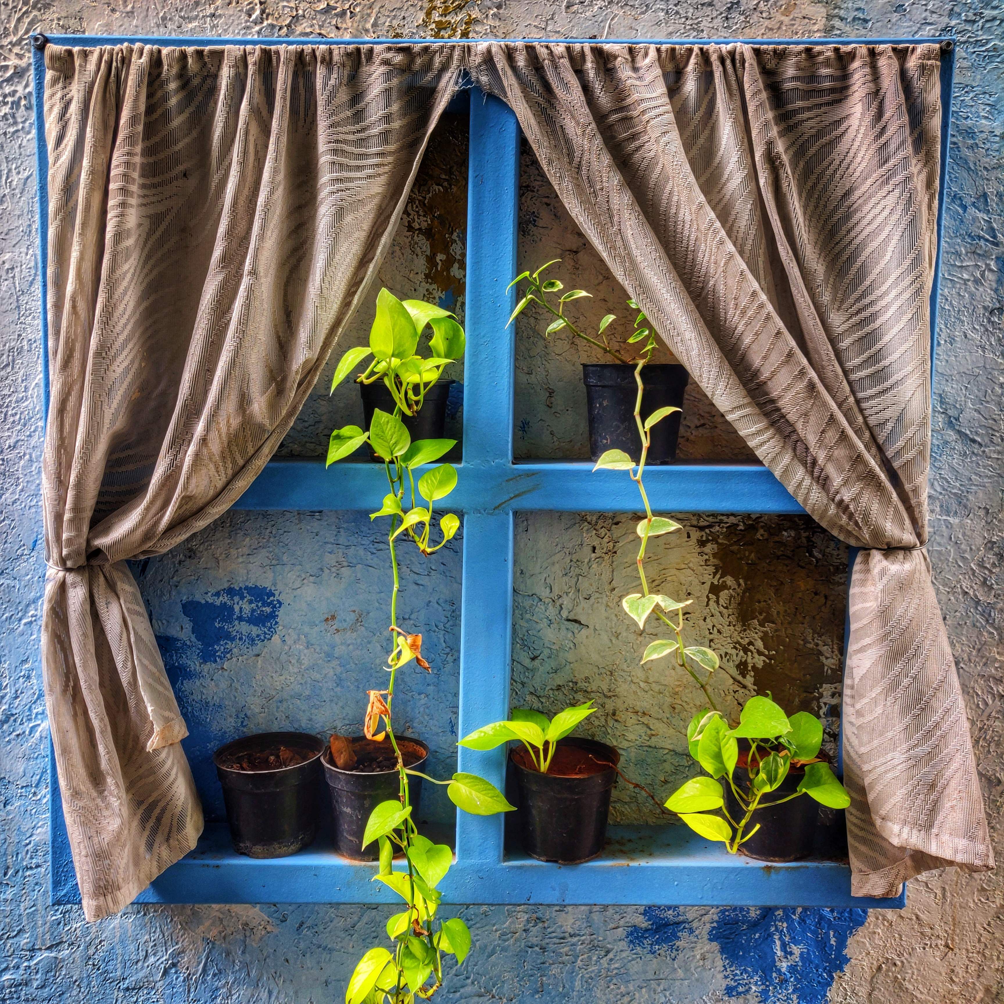 Curtain,Window treatment,Blue,Interior design,Textile,Window,Majorelle blue,Room,Interior design,House