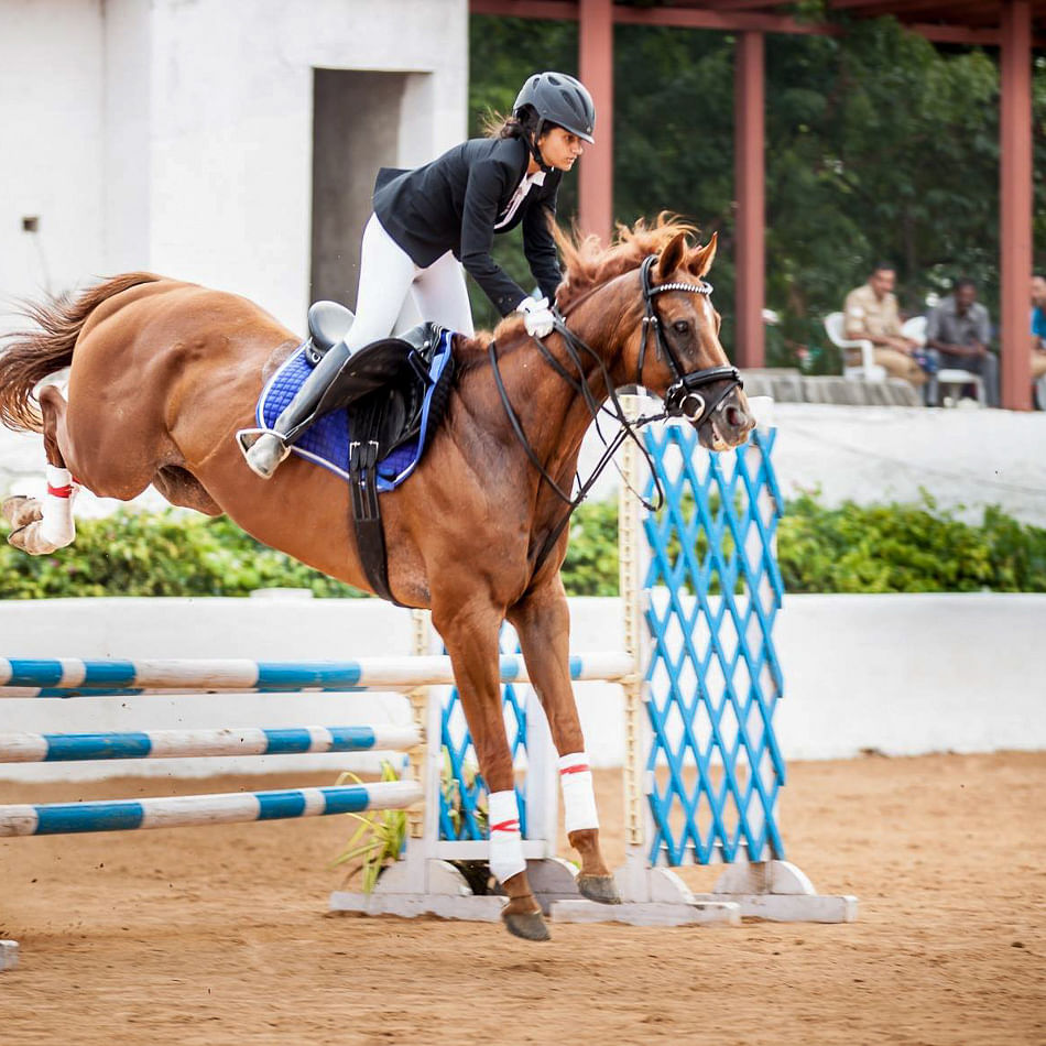 Horse,Bridle,Animal sports,Mammal,Sports,Halter,Show jumping,Rein,Vertebrate,Equestrian