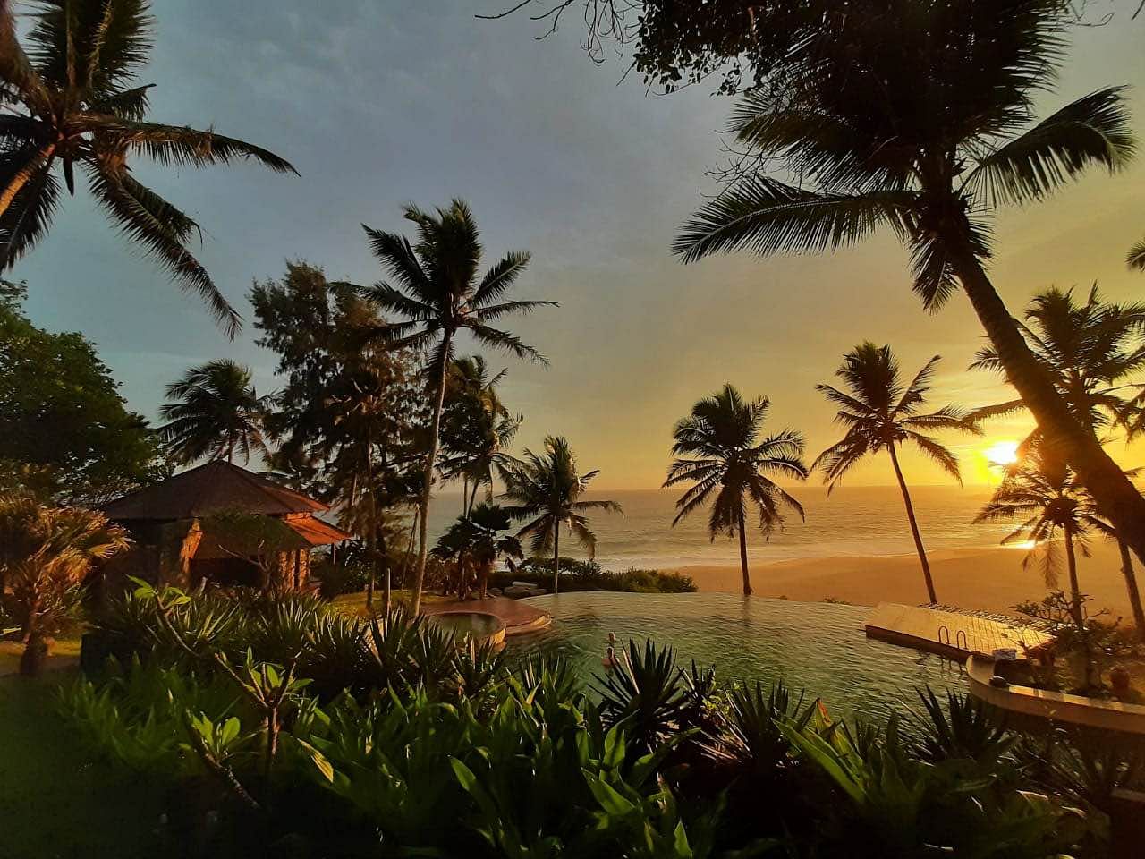 Sky,Nature,Tree,Palm tree,Tropics,Attalea speciosa,Arecales,Natural landscape,Elaeis,Morning