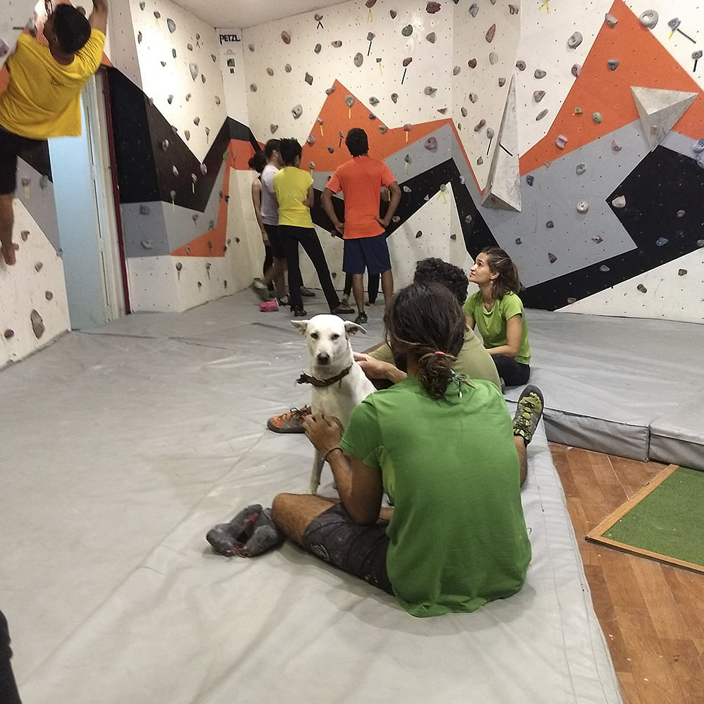 Bouldering,Climbing,Adventure,Rock climbing,Recreation,Illustration,Wall,Architecture,Play,Leisure