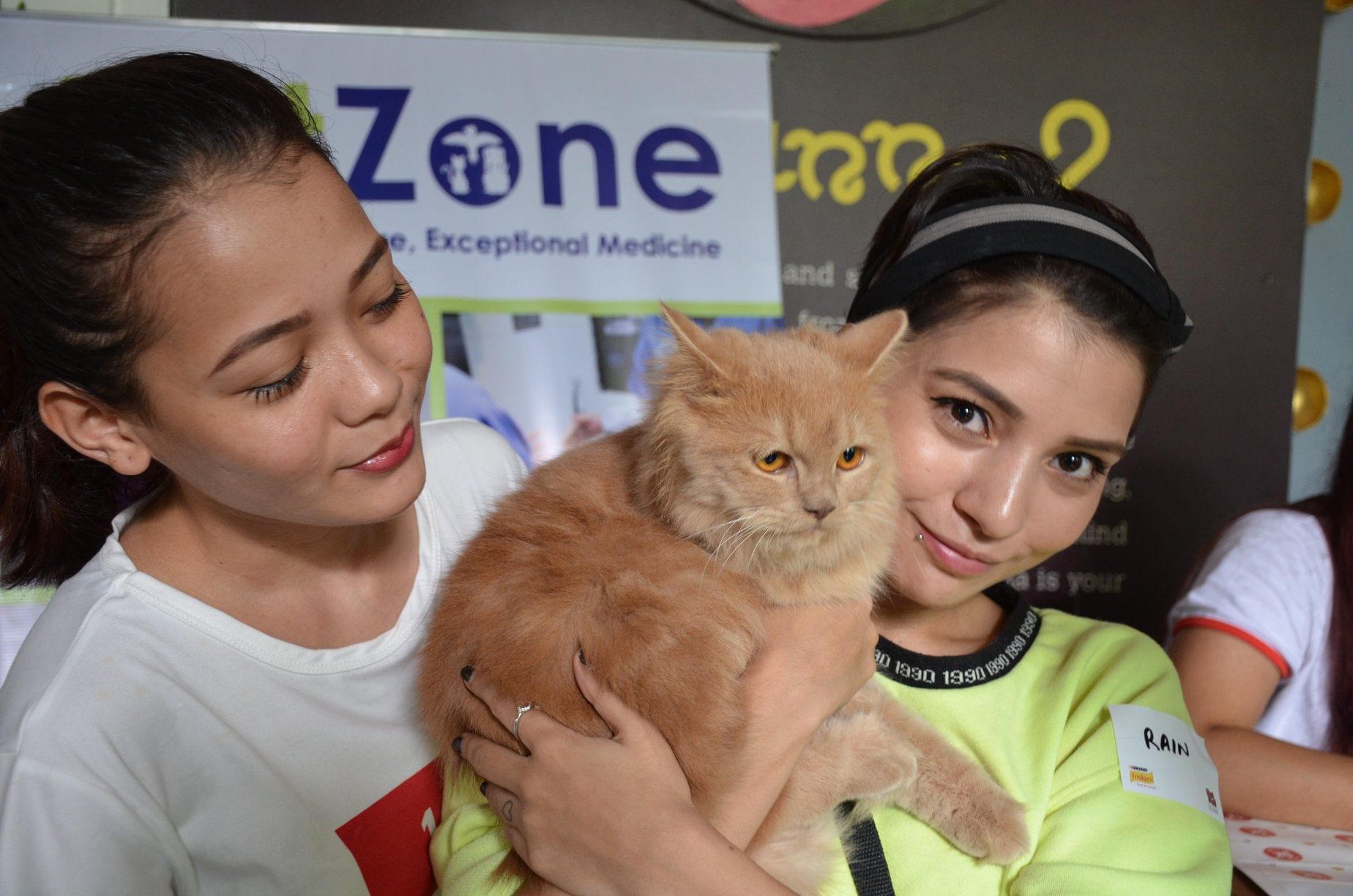 Cat,Felidae,Small to medium-sized cats,Carnivore,Kitten,Ear,Persian,Fawn,Smile,Child