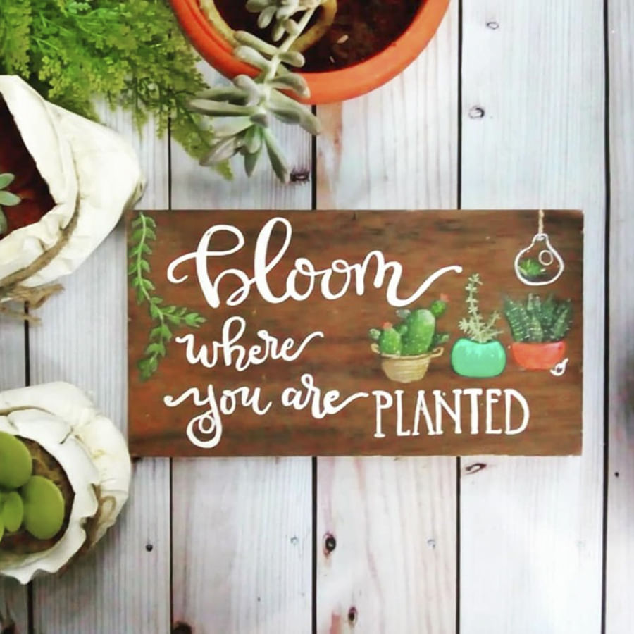 Wood,Vegetable,Natural foods,Local food,Vegetarian food,Christmas decoration,Food,Herb,Superfood,Whole food