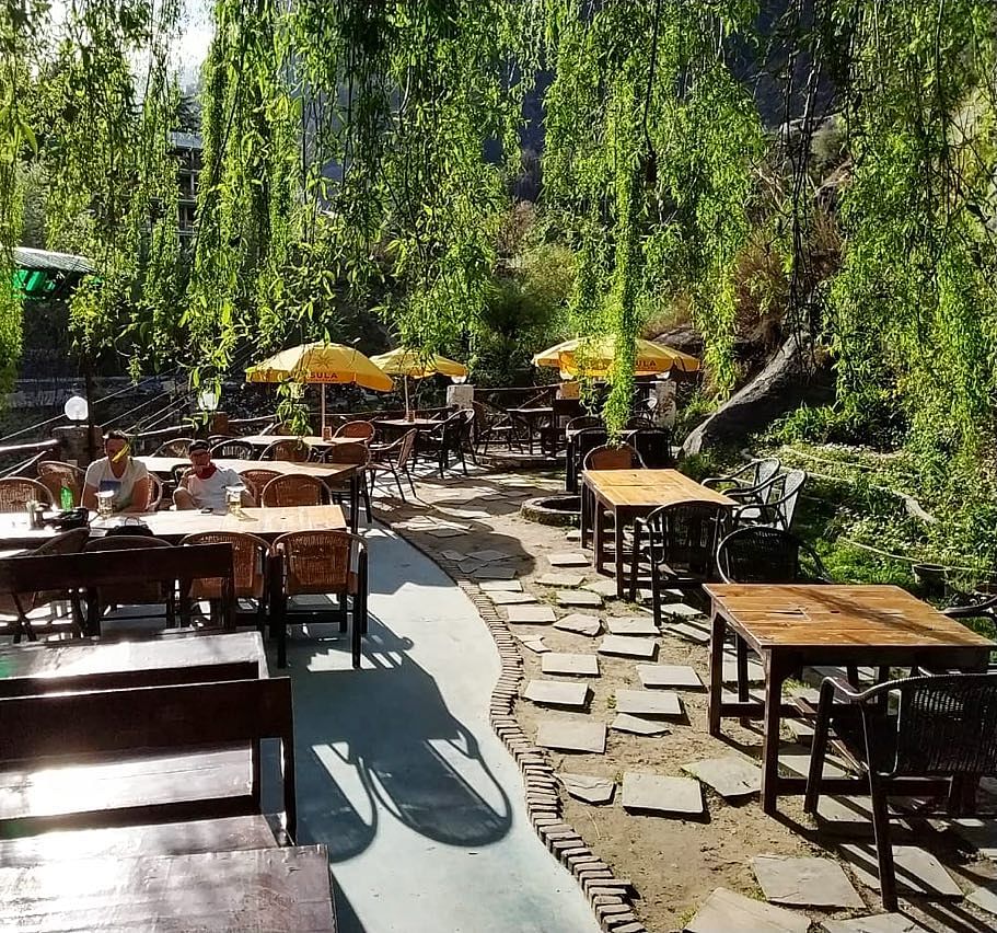 Table,Restaurant,Natural environment,Tree,Patio,Furniture,Brunch,Outdoor table,Lunch,Leisure