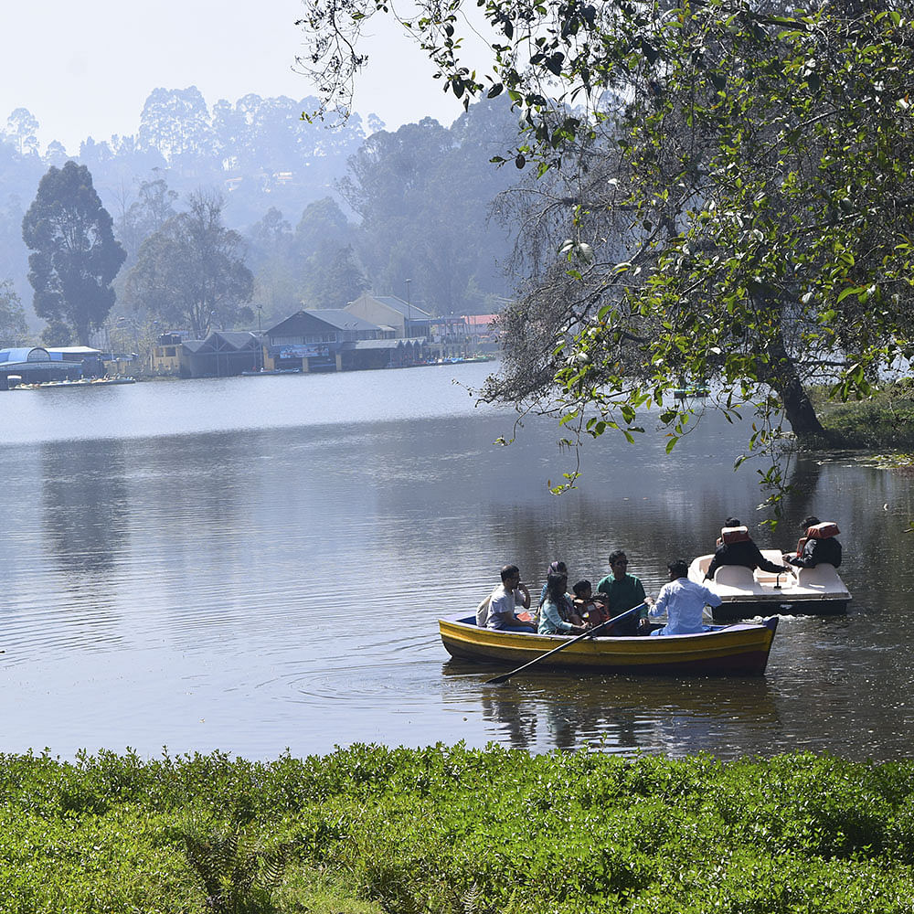 Water transportation,Water,Atmospheric phenomenon,River,Tree,Waterway,Boat,Lake,Morning,Bank