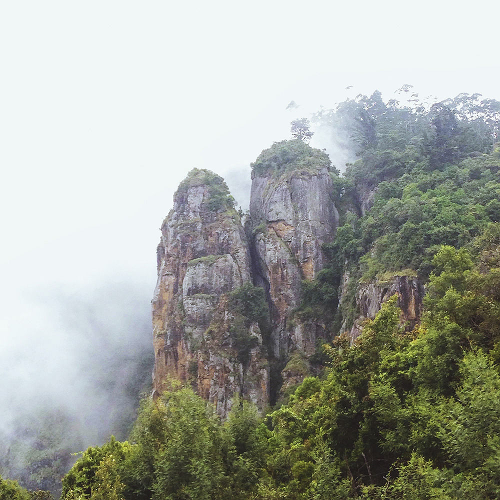 Natural landscape,Vegetation,Nature,Hill station,Atmospheric phenomenon,Nature reserve,Mountainous landforms,Mountain,Sky,Rock