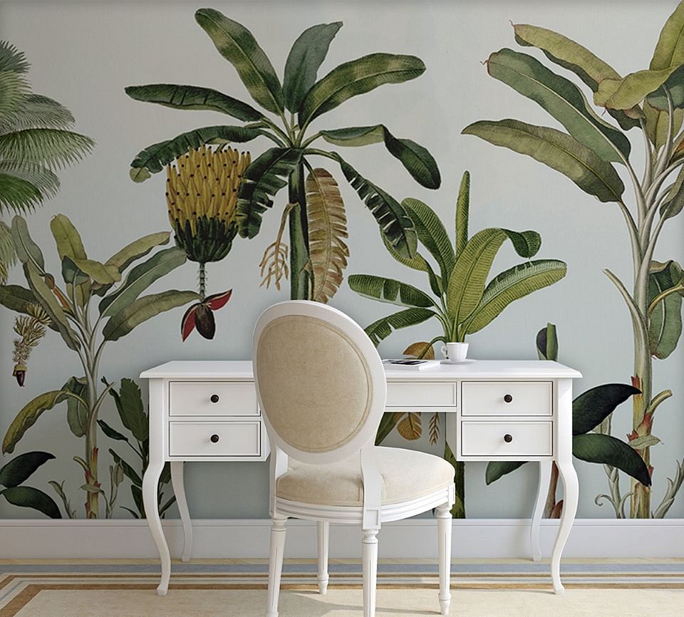 Houseplant,Leaf,Plant,Furniture,Interior design,Botany,Room,Wallpaper,Tree,Wall sticker