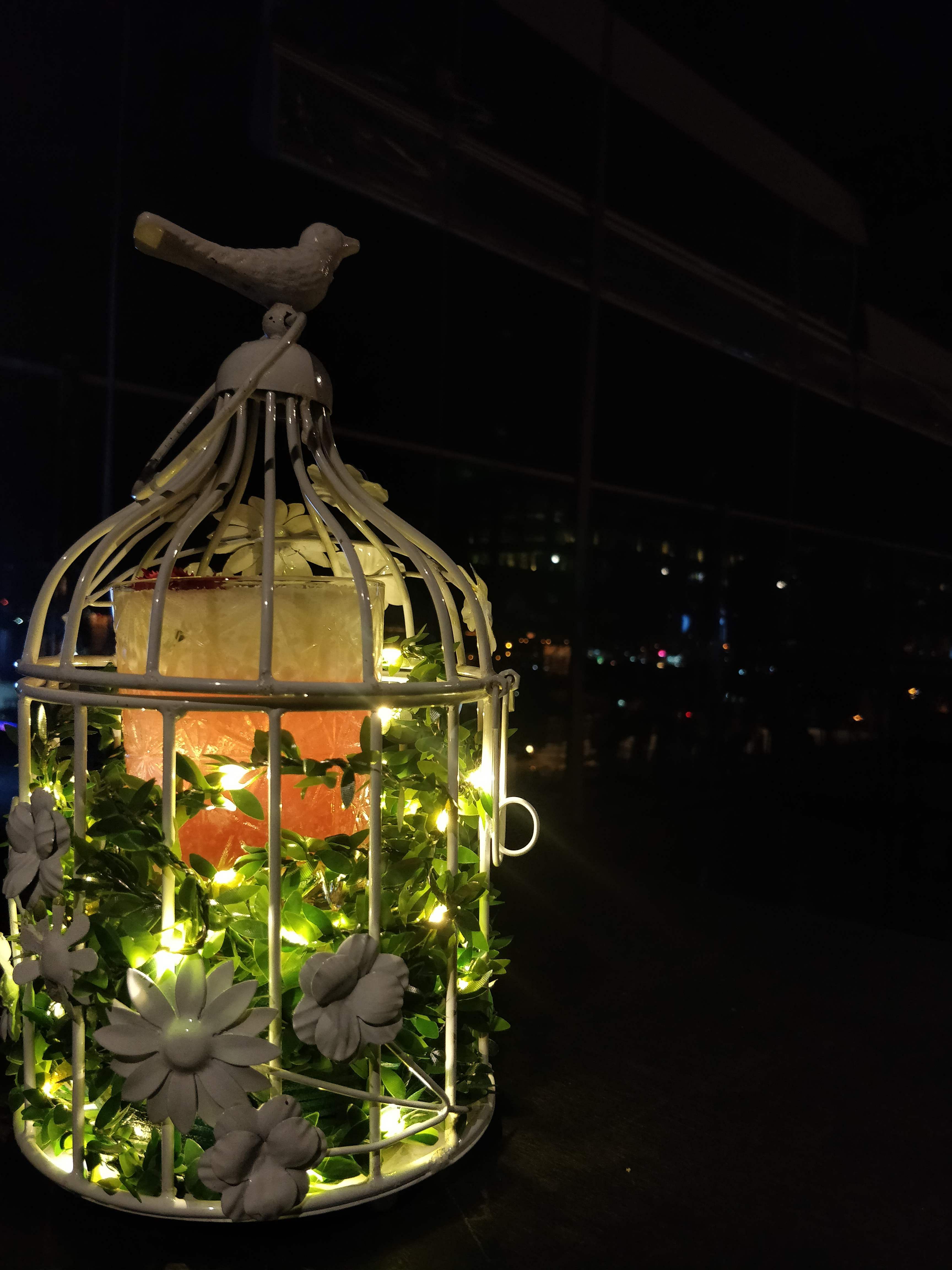 Cage,Lighting,Light,Night,Lantern,Plant,Photography,Glass,Still life,Light fixture