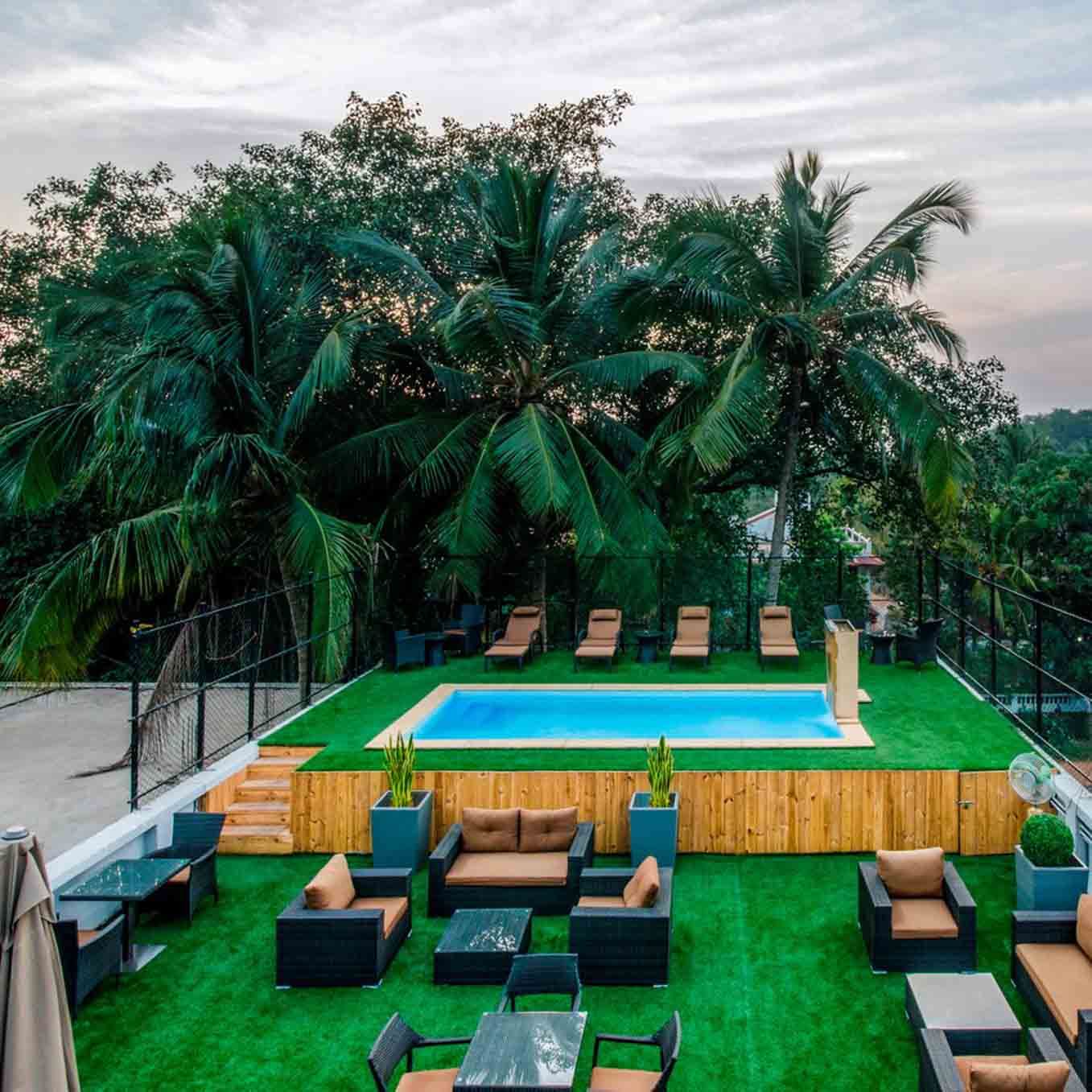 Green,Grass,Tree,Leisure,Botany,Palm tree,Plant,Arecales,Recreation,Miniature golf