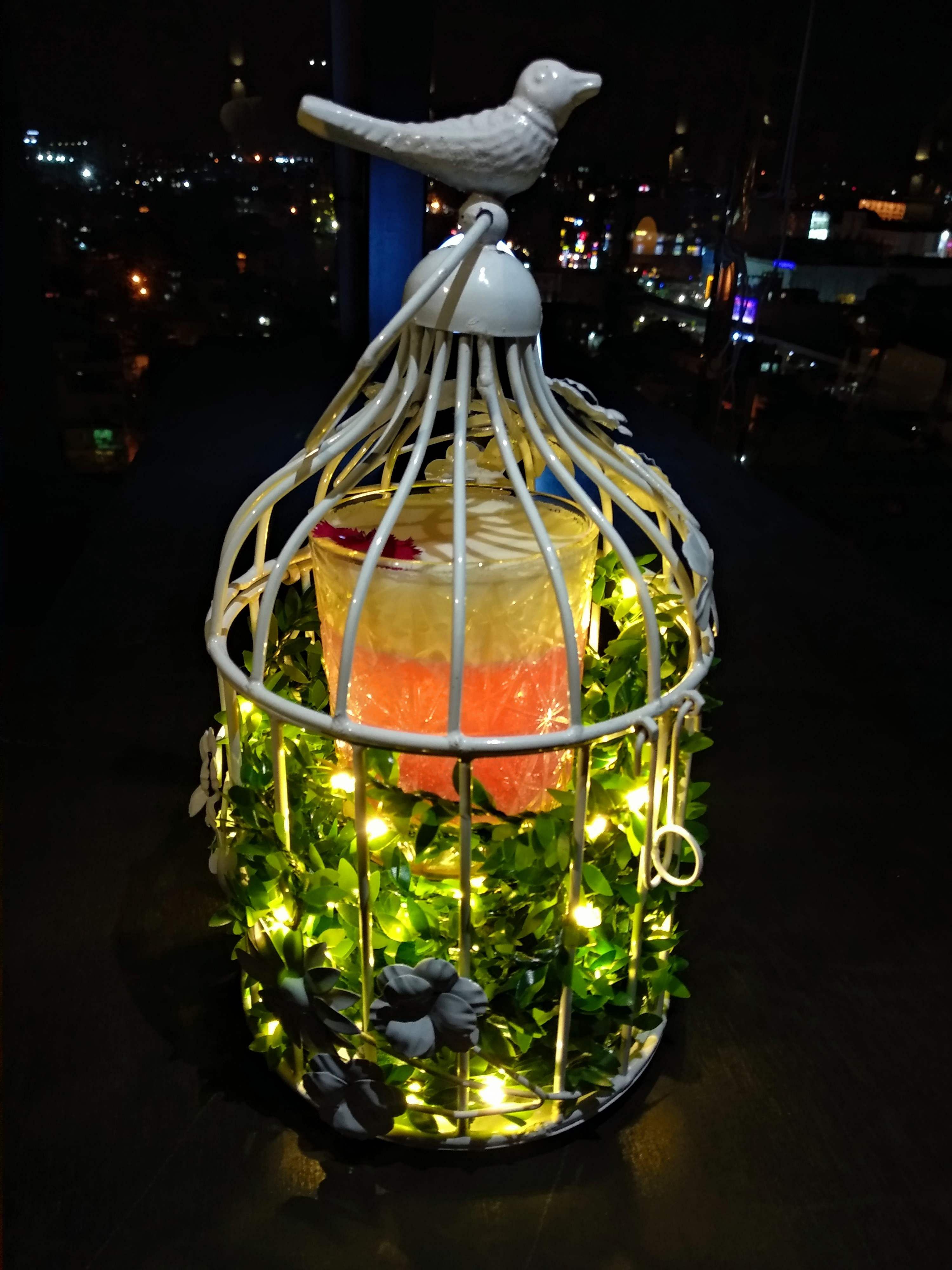 Cage,Light,Glass,Plant,Still life