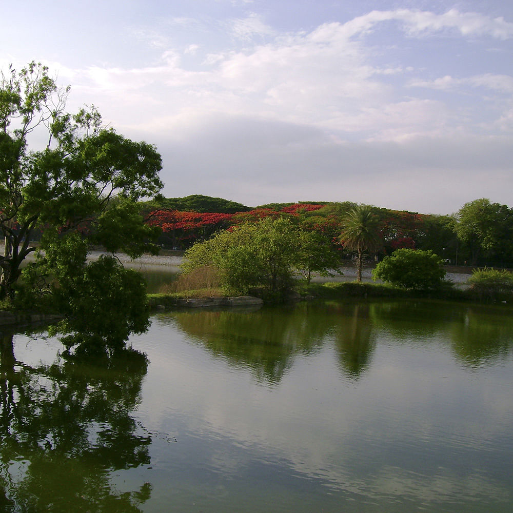 Body of water,Reflection,Nature,Water,Water resources,River,Sky,Natural landscape,Reservoir,Lake