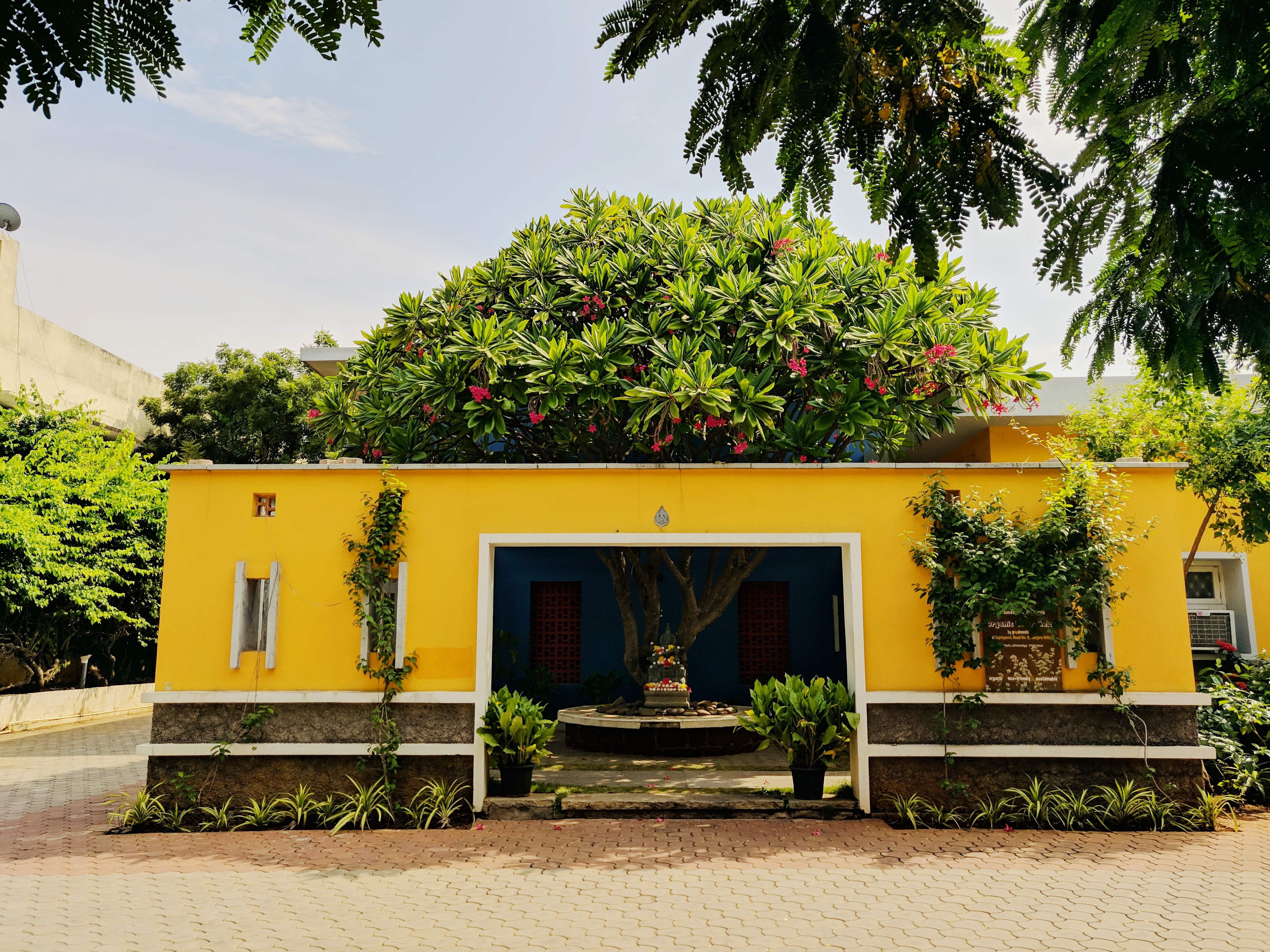 House,Property,Vegetation,Home,Yellow,Building,Tree,Architecture,Real estate,Sky