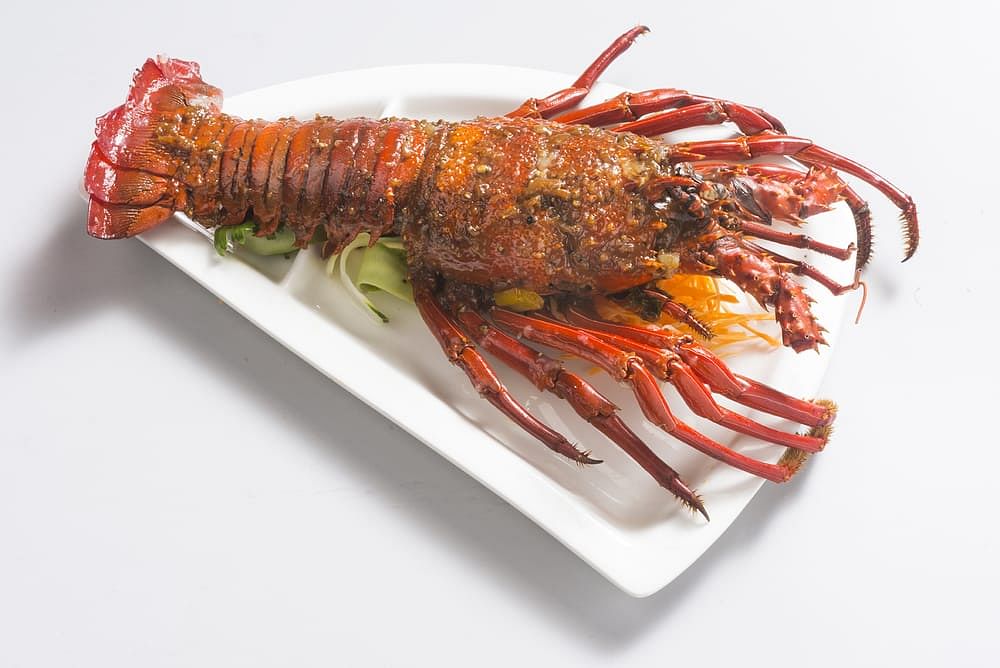 American lobster,Lobster,Spiny lobster,Food,Botan shrimp,Homarus,Crayfish,Seafood,Decapoda,Cuisine