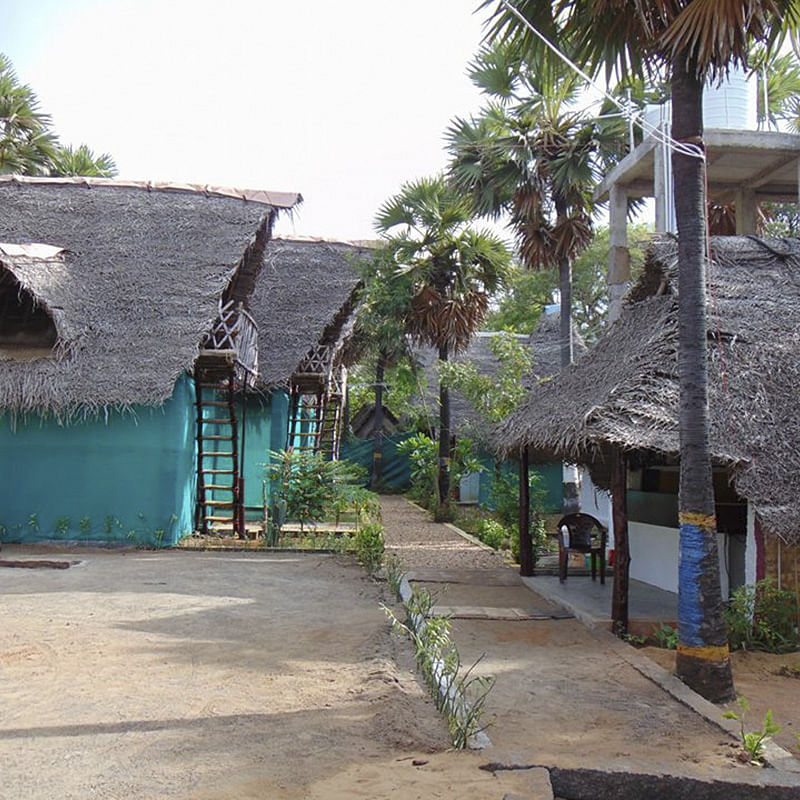 House,Neighbourhood,Town,Tree,Village,Home,Building,Palm tree,Architecture,Vacation