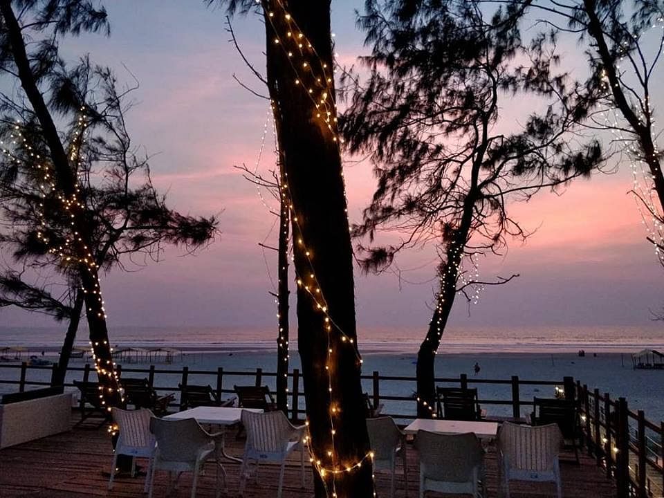 Tree,Sky,Evening,Woody plant,Horizon,Sea,Shore,Real estate,Sunset,Plant