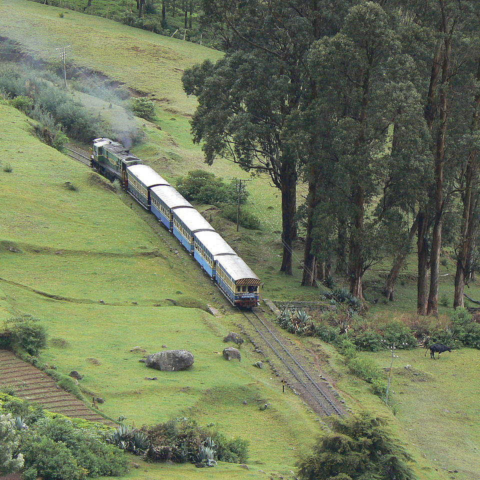 Transport,Train,Railway,Green,Rolling stock,Vehicle,Locomotive,Mode of transport,Hill station,Rural area