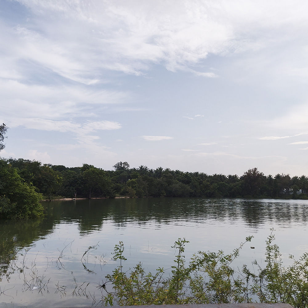 Body of water,Natural landscape,Water resources,Sky,Nature,Water,Vegetation,Natural environment,Nature reserve,Reflection