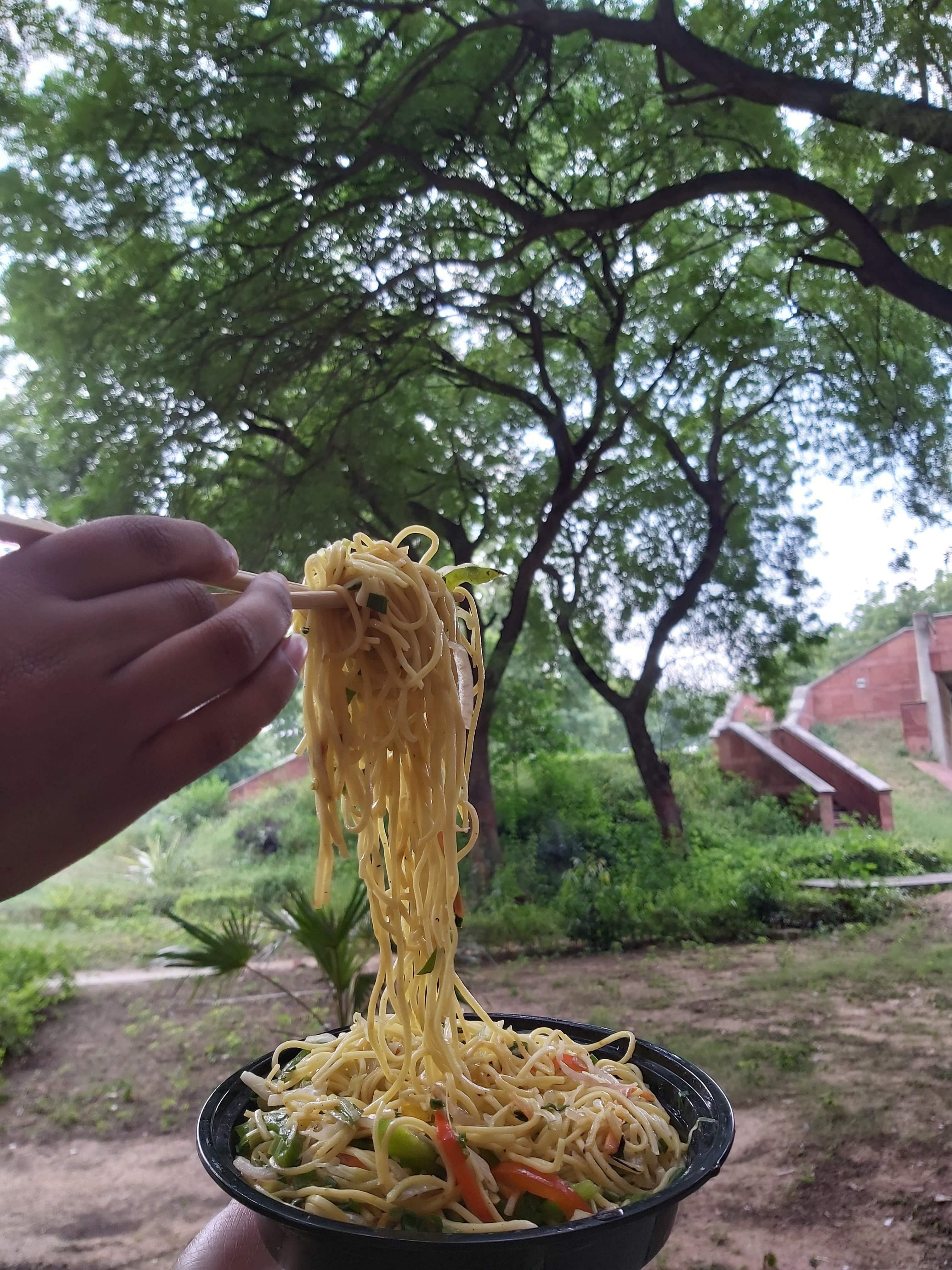 Dish,Food,Cuisine,Tree,Plant