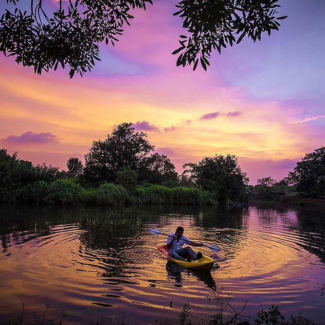 Sky,Nature,Reflection,River,Sunset,Purple,Tree,Dusk,Cloud,Evening