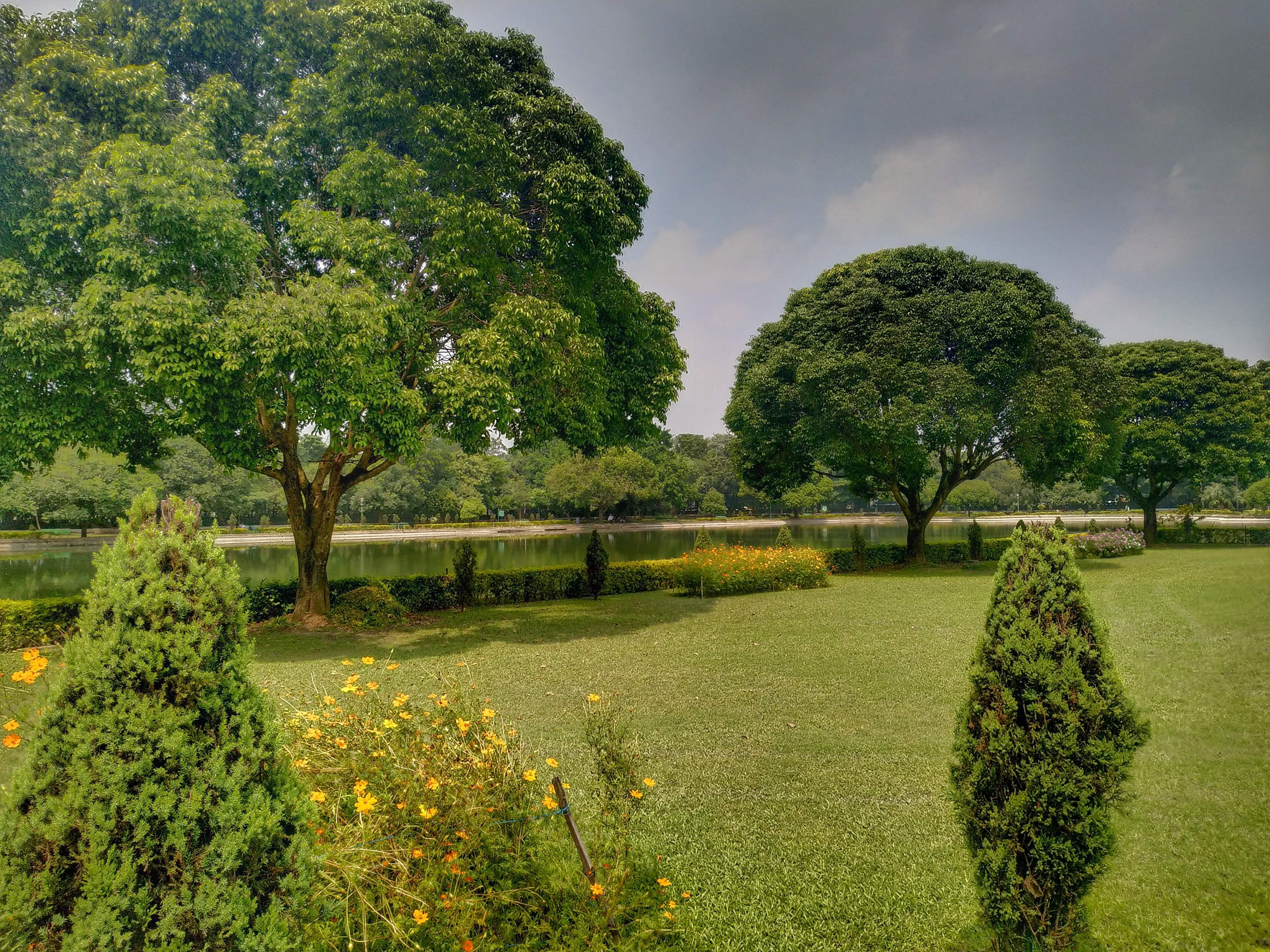 Nature,Green,Natural landscape,Vegetation,Tree,Garden,Sky,Grass,Natural environment,Nature reserve