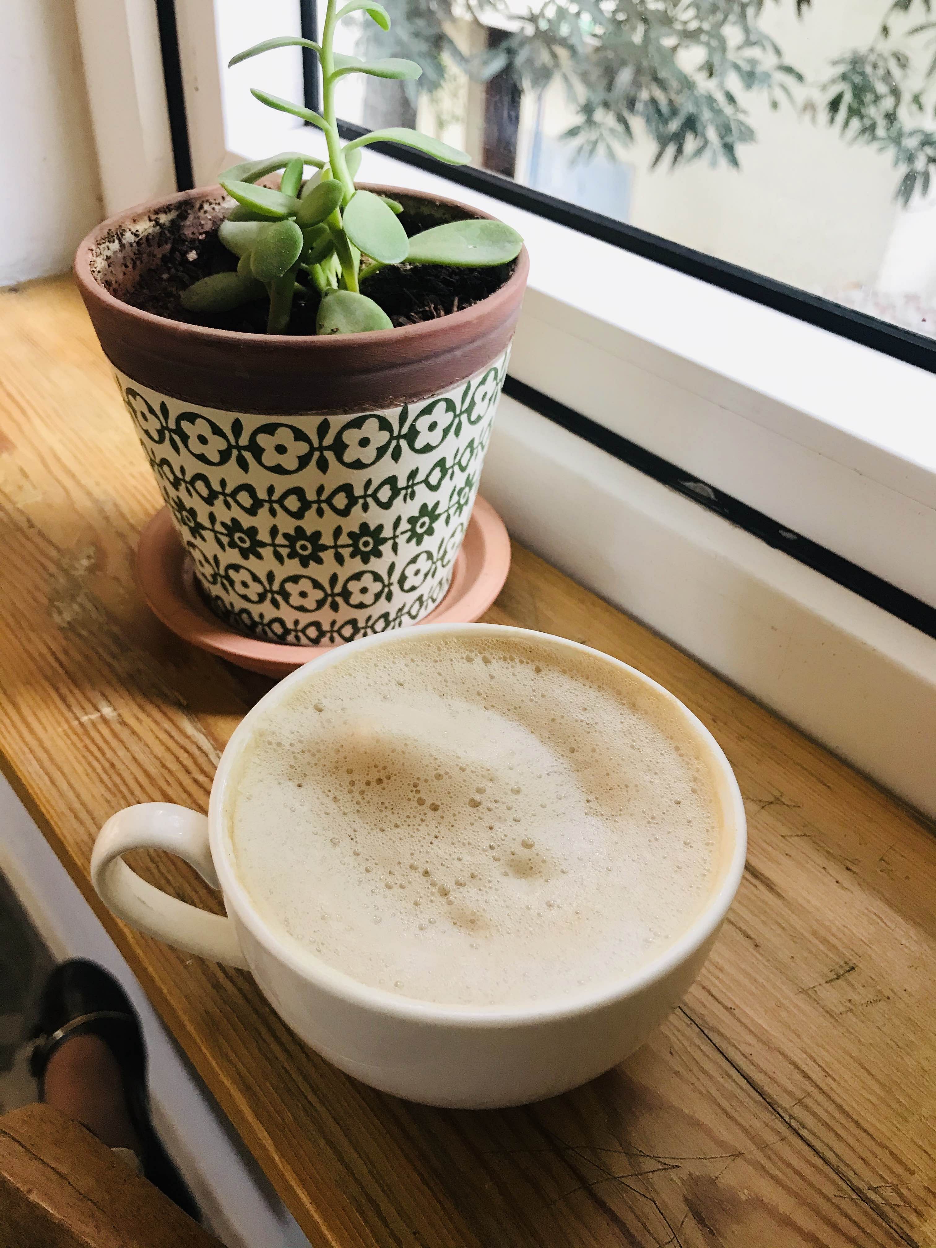 Cup,Table,Coffee cup,Room,Food,Houseplant,Cup,Teacup,Dish,Ceramic