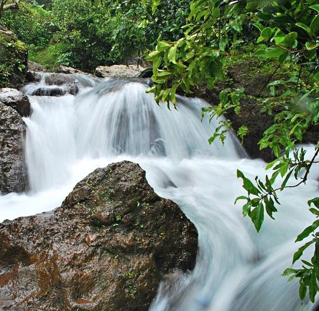 Waterfall,Water resources,Body of water,Natural landscape,Watercourse,Water,Nature,Vegetation,Nature reserve,Stream