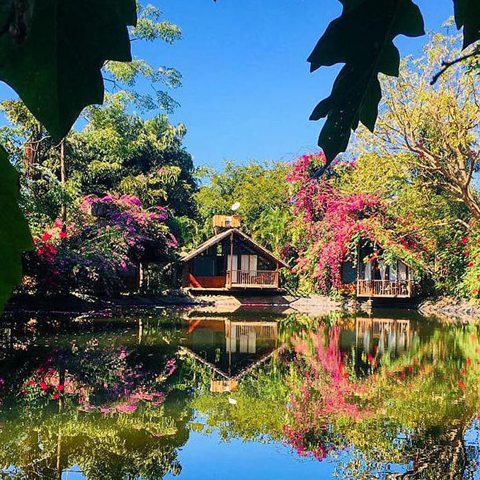 Reflection,Nature,Sky,Tree,Leaf,Natural landscape,Water,Pond,House,Wilderness