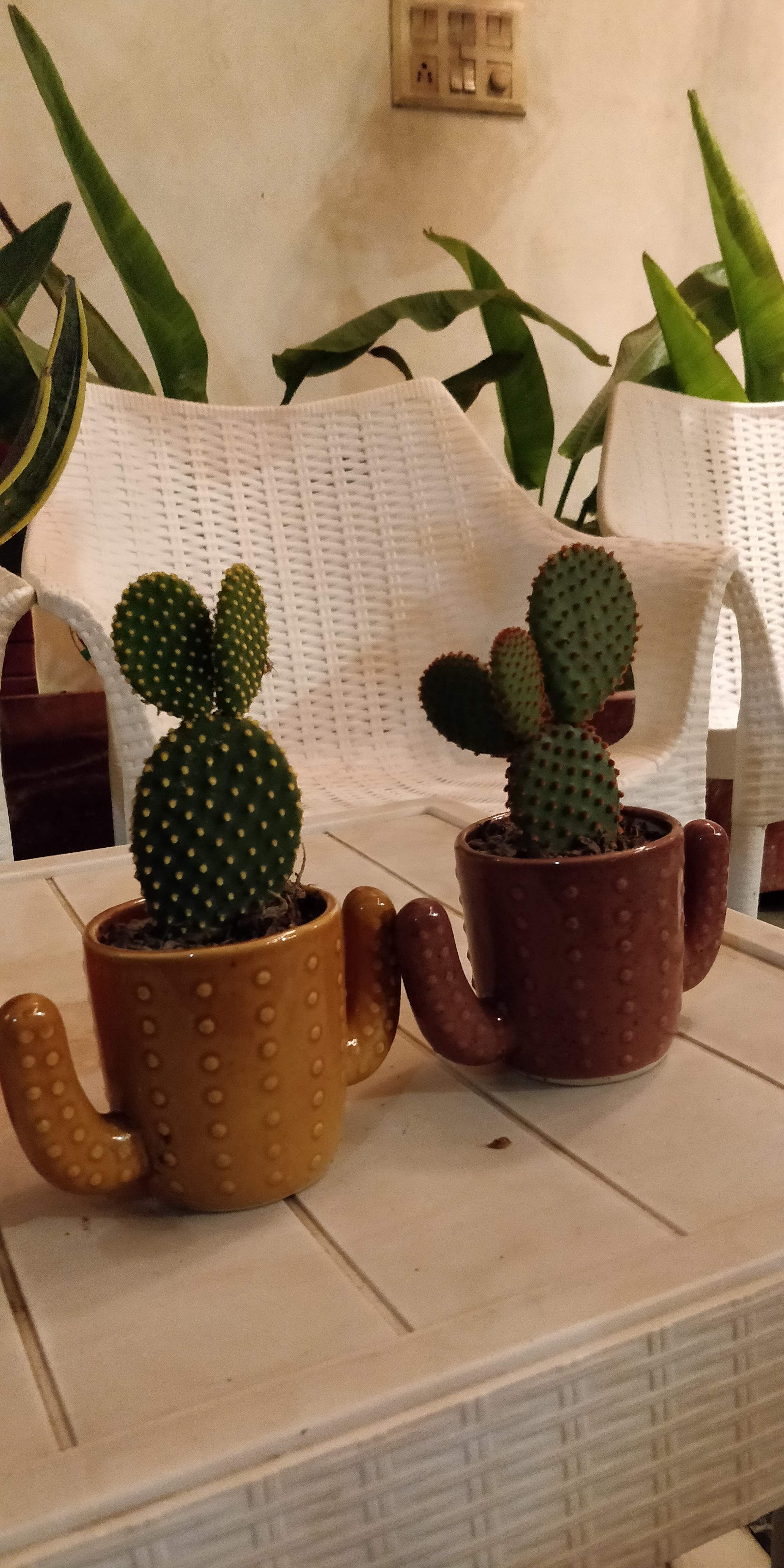 img-gallery-featured